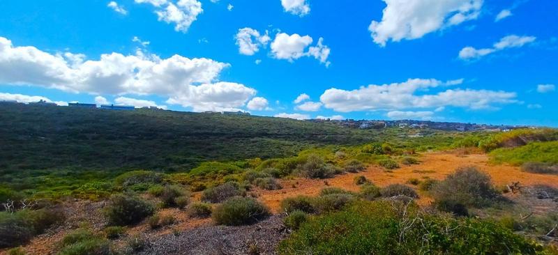 0 Bedroom Property for Sale in Moquini Coastal Estate Western Cape